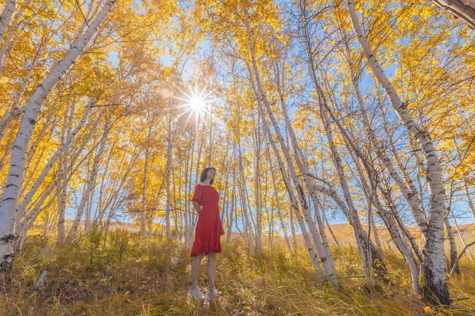 In September, Harbin drove all the way to Manzhouli. The autumn scenery along the way is worthy of being the most beautiful in 